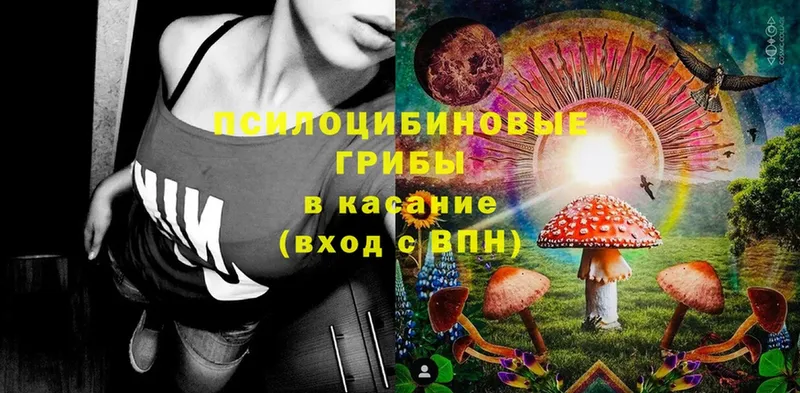 Галлюциногенные грибы Cubensis  Лысьва 